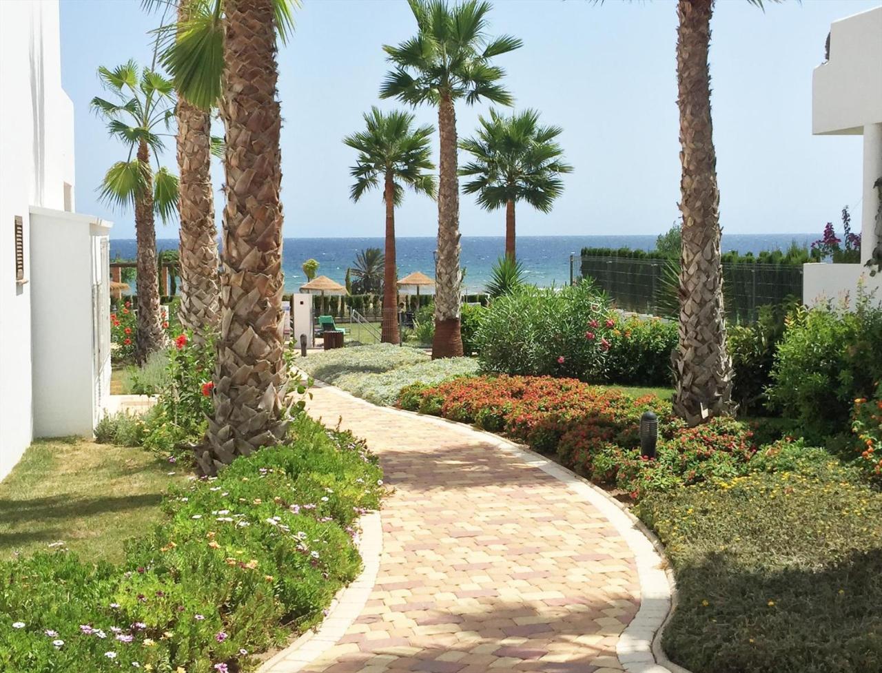 Kaki Daire San Juan de los Terreros Dış mekan fotoğraf